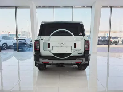 بي واي دي ليوبارد 8 سماوي / بيج 2025 (خليجي)-5