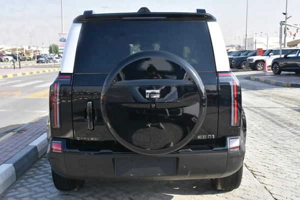 ROX 01 VIP 2026 | BLACK LIKE