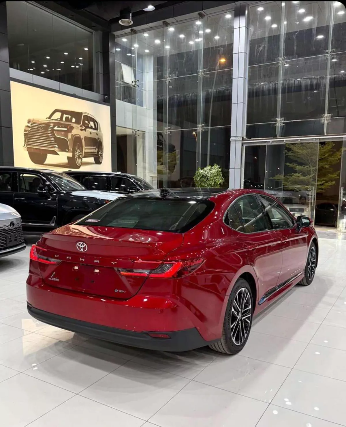 2026 TOYOTA CAMRY LUMIERE RED HEV 2.5L HYBRID-3-3
