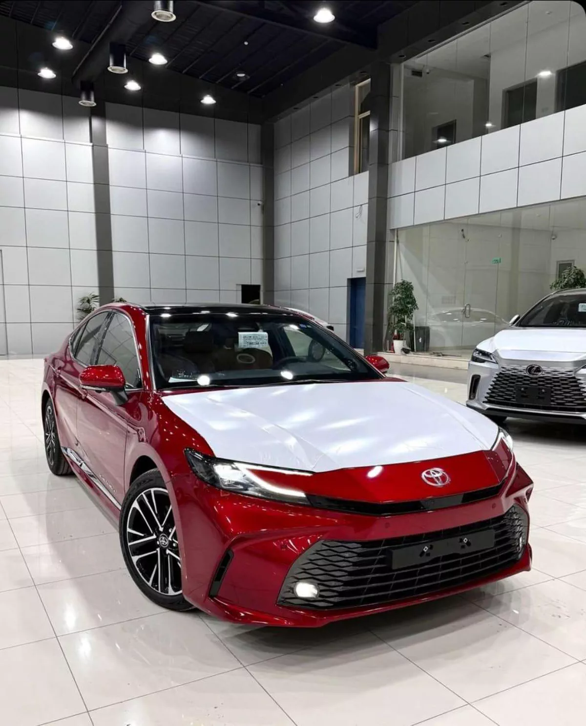2026 TOYOTA CAMRY LUMIERE RED HEV 2.5L HYBRID-10-10