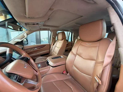 Cadillac Escalade PLATINUM-10