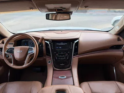 Cadillac Escalade PLATINUM-7