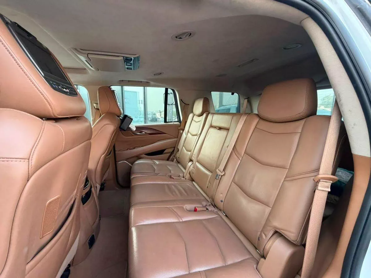 Cadillac Escalade PLATINUM-11-0
