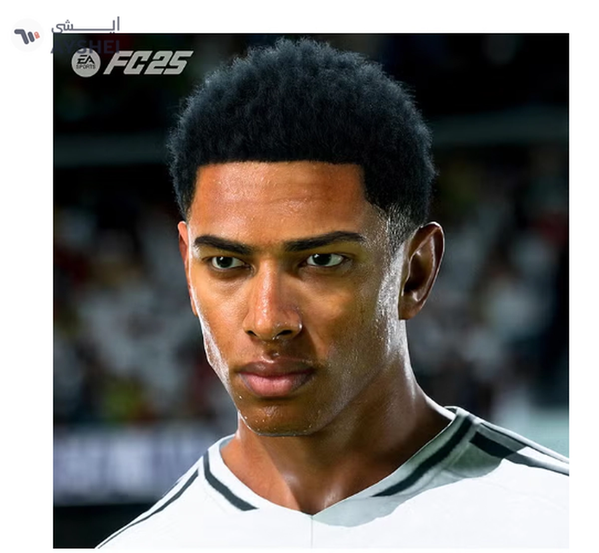 EA Sports FC 25 (UAE Version) - Sports - PlayStation 5 (PS5)-2-2
