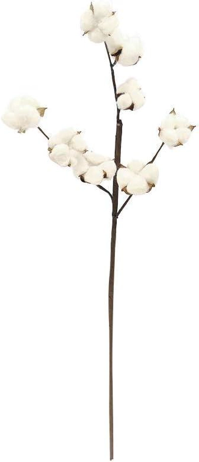 YATAI Naturally Dried Cotton Stems Farmhouse Style Cotton Boll and Fruit Branches-1