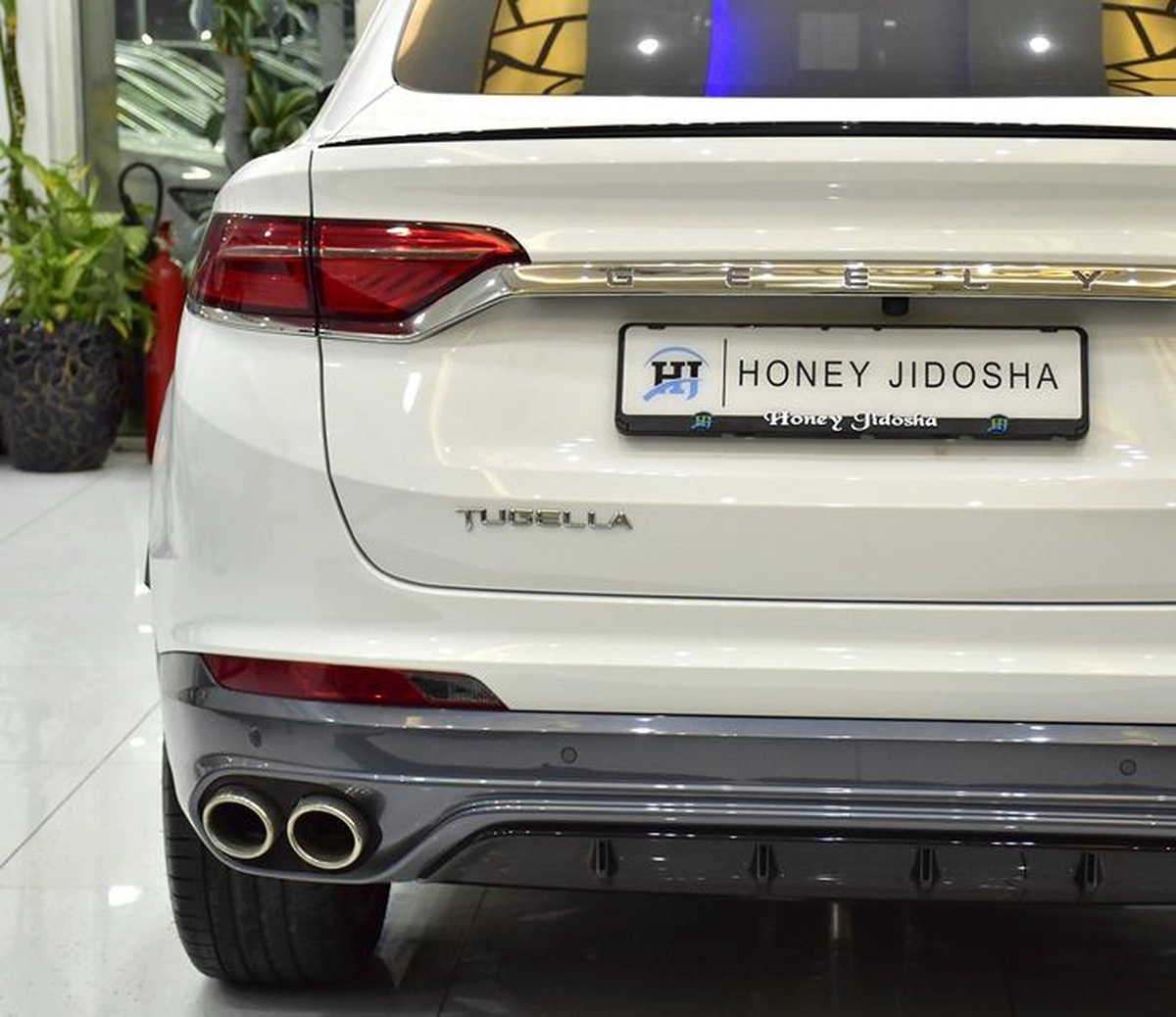 Geely Tugella ( 2024 Model ) in White Color GCC Specs