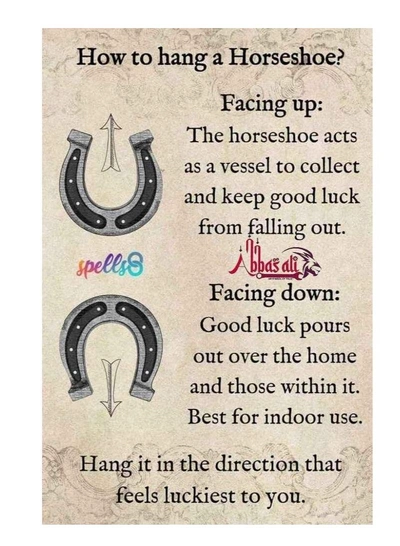 ABBASALI Black Metal Horse Shoe for Vastu and Feng Shui-1