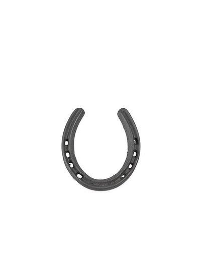 ABBASALI Black Metal Horse Shoe for Vastu and Feng Shui-2