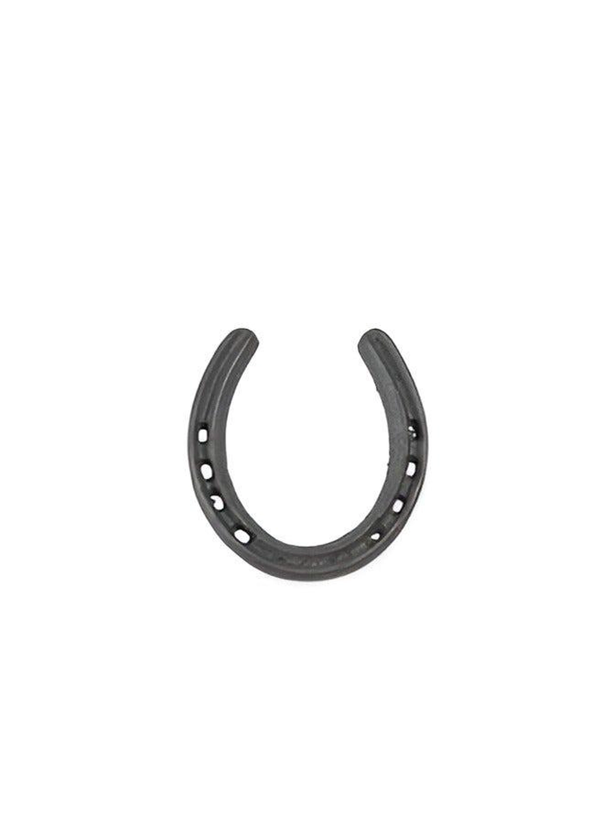 ABBASALI Black Metal Horse Shoe for Vastu and Feng Shui-2-2