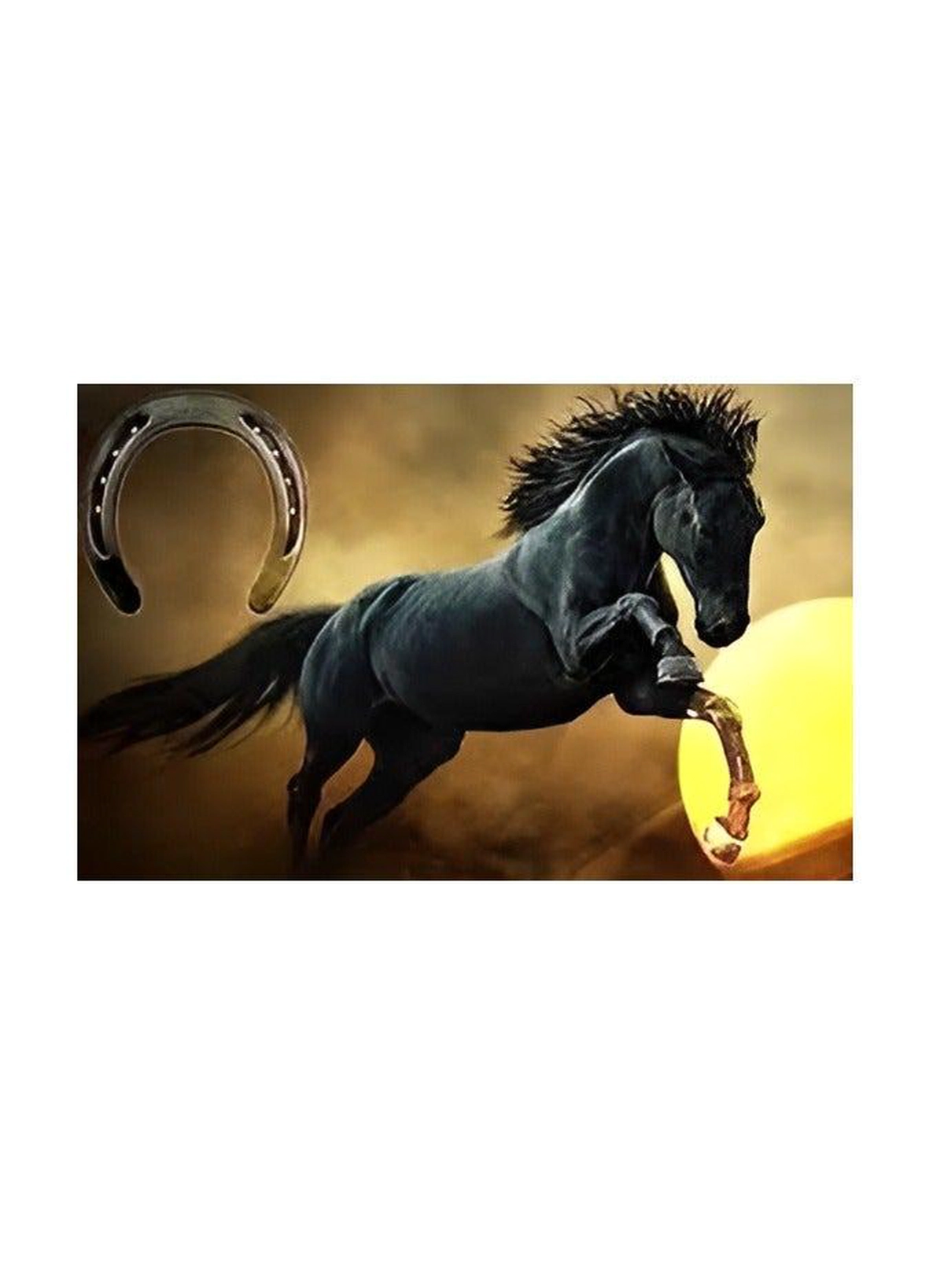 ABBASALI Black Metal Horse Shoe for Vastu and Feng Shui-5-5