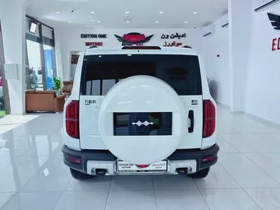 BYD Leopard 5 Flagship 2024 full option-8