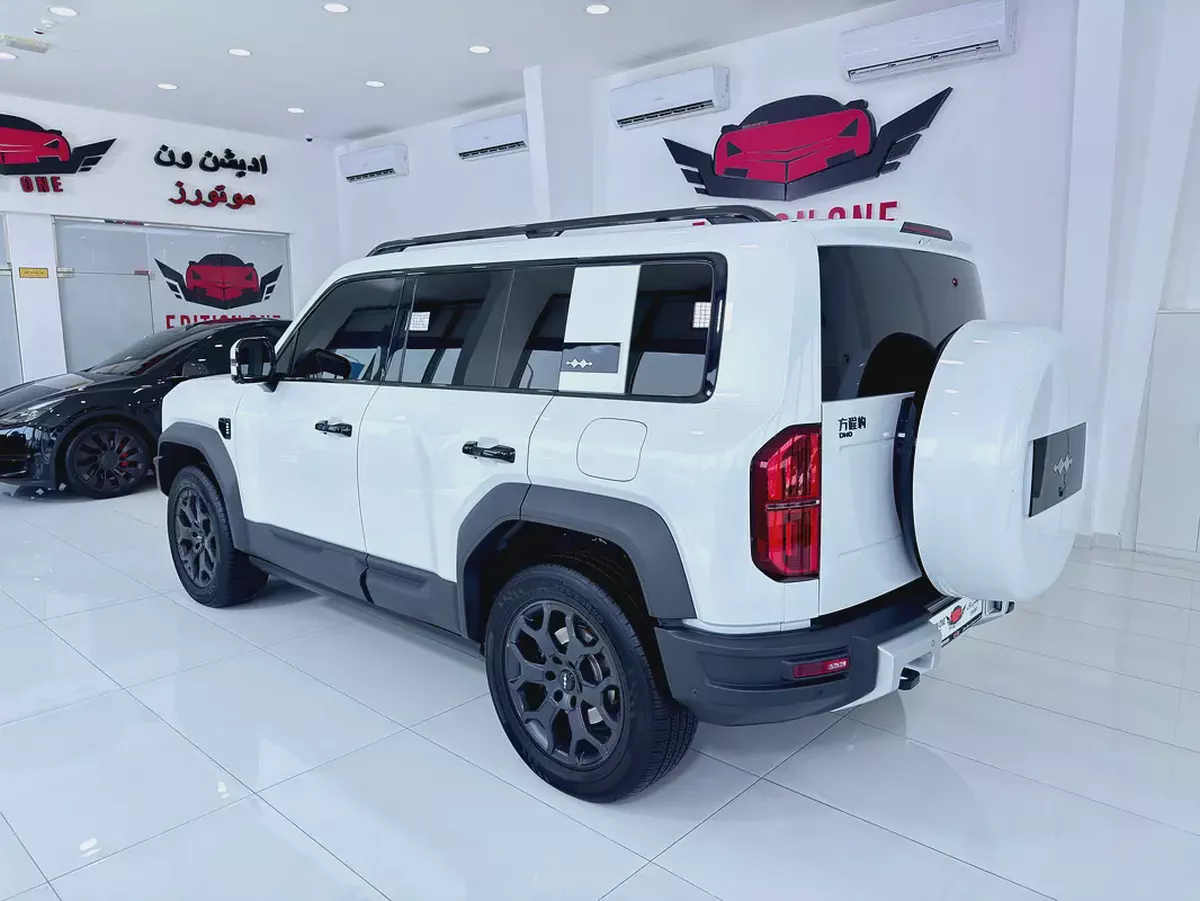 BYD Leopard 5 Flagship 2024 full option-7-7