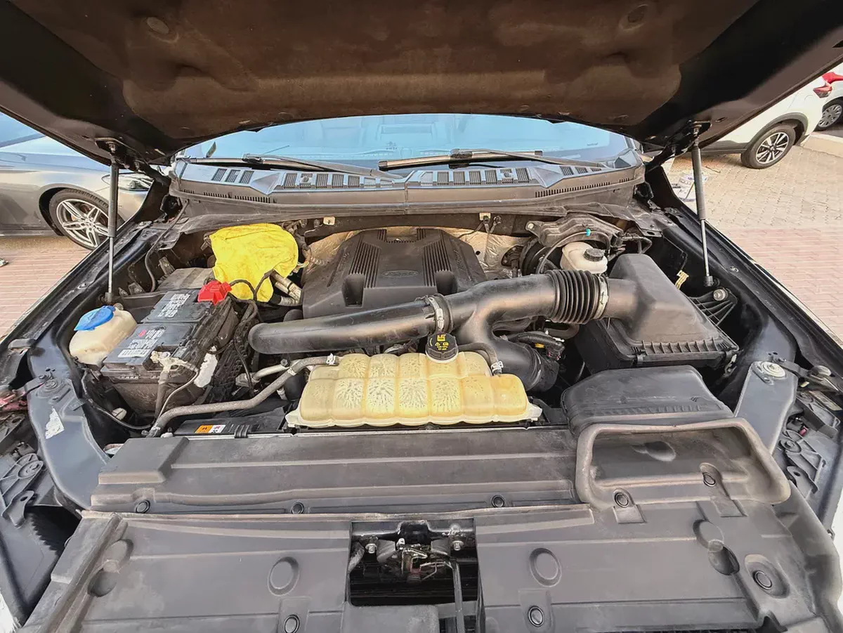 Ford F-150 Platinum 2019 American Specs-19-19