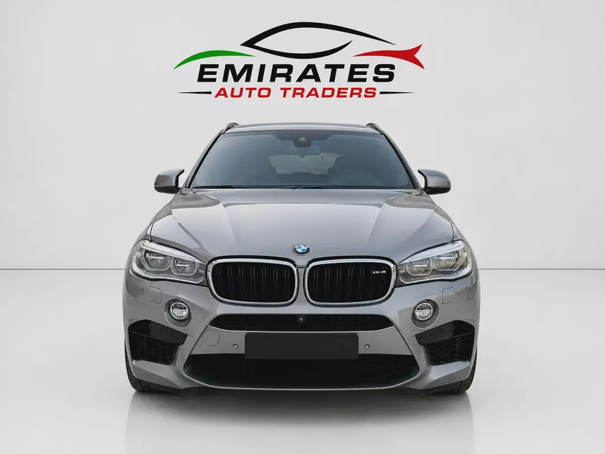 2019 BMW X6M-1-1