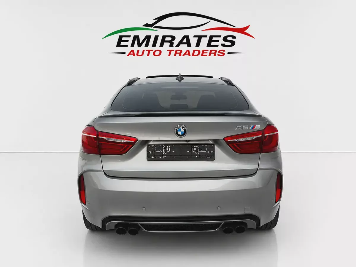 2019 BMW X6M-5-5