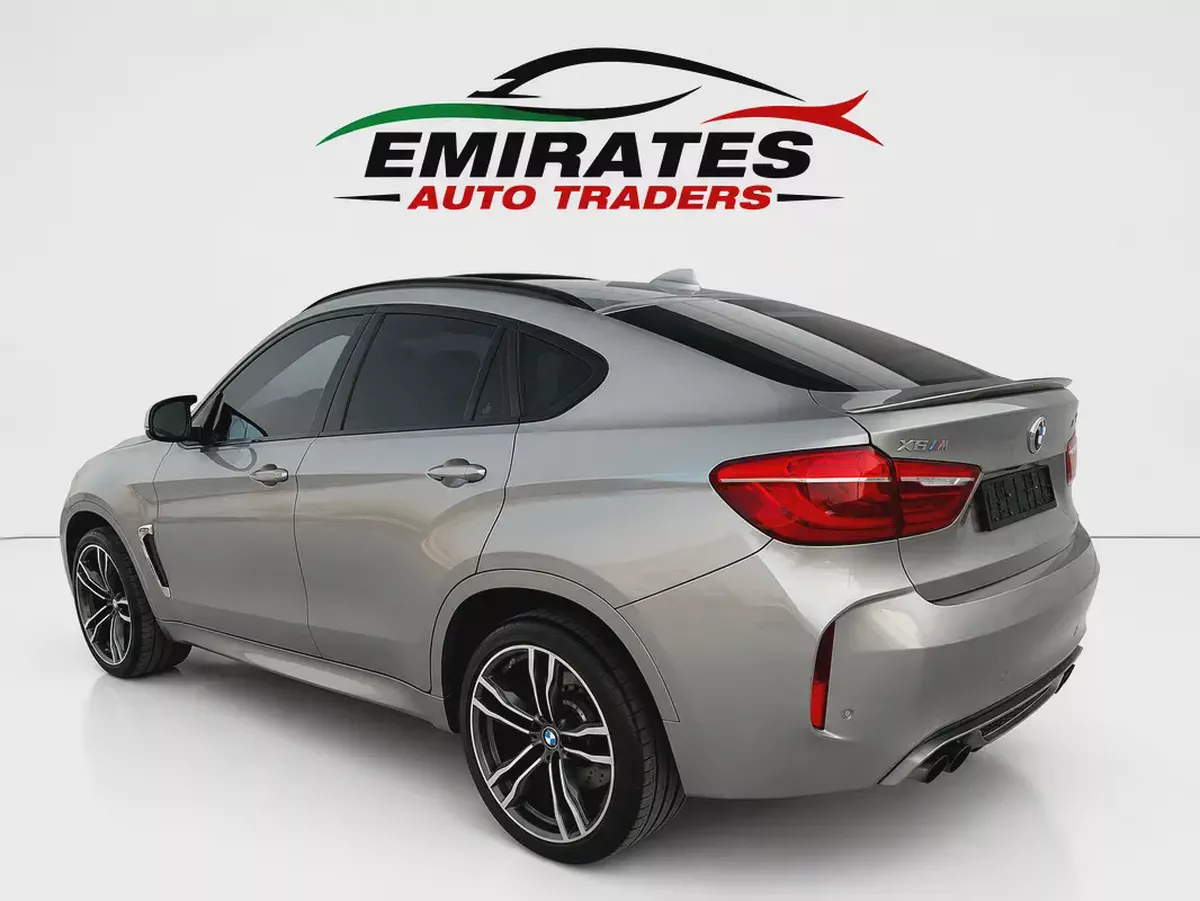 2019 BMW X6M-6-6
