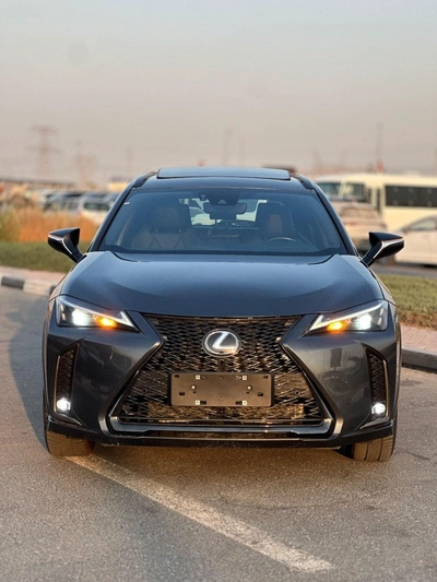 Lexus UX250h Premium F- Sport  Hybrid-1