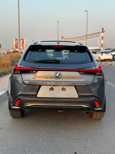 Lexus UX250h Premium F- Sport  Hybrid-3