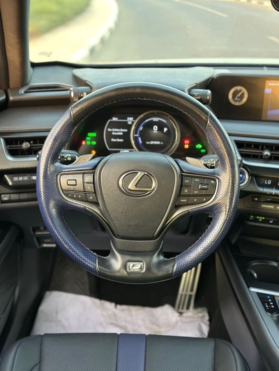 Lexus UX250h Premium F- Sport  Hybrid-7