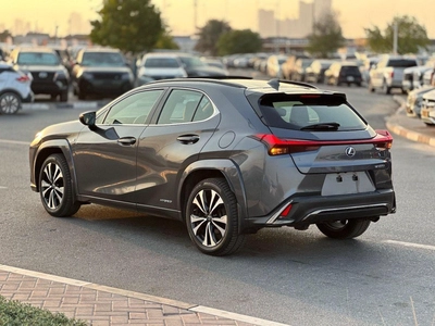 Lexus UX250h Premium F- Sport  Hybrid-10