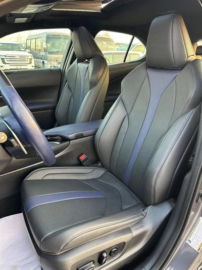Lexus UX250h Premium F- Sport  Hybrid-16