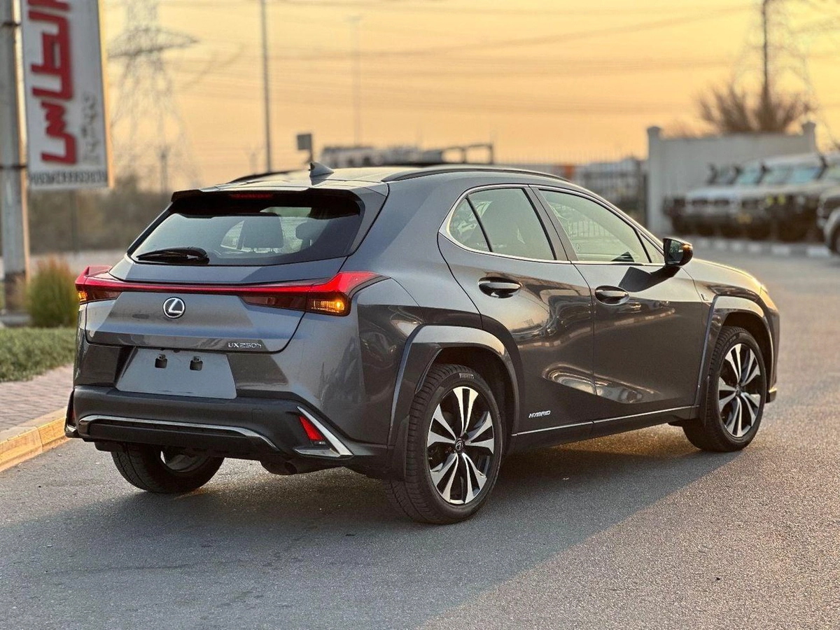 Lexus UX250h Premium F- Sport  Hybrid-2-2
