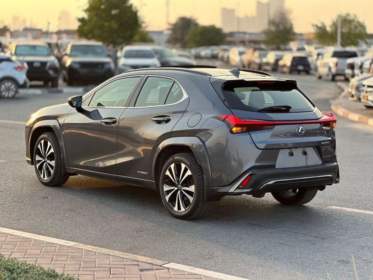 Lexus UX250h Premium F- Sport  Hybrid-10-10