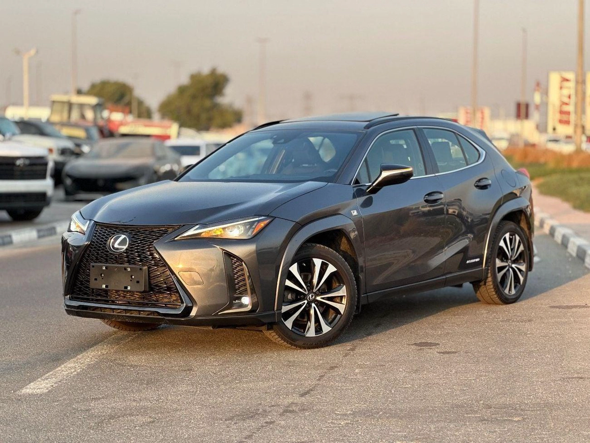 Lexus UX250h Premium F- Sport  Hybrid-11-11