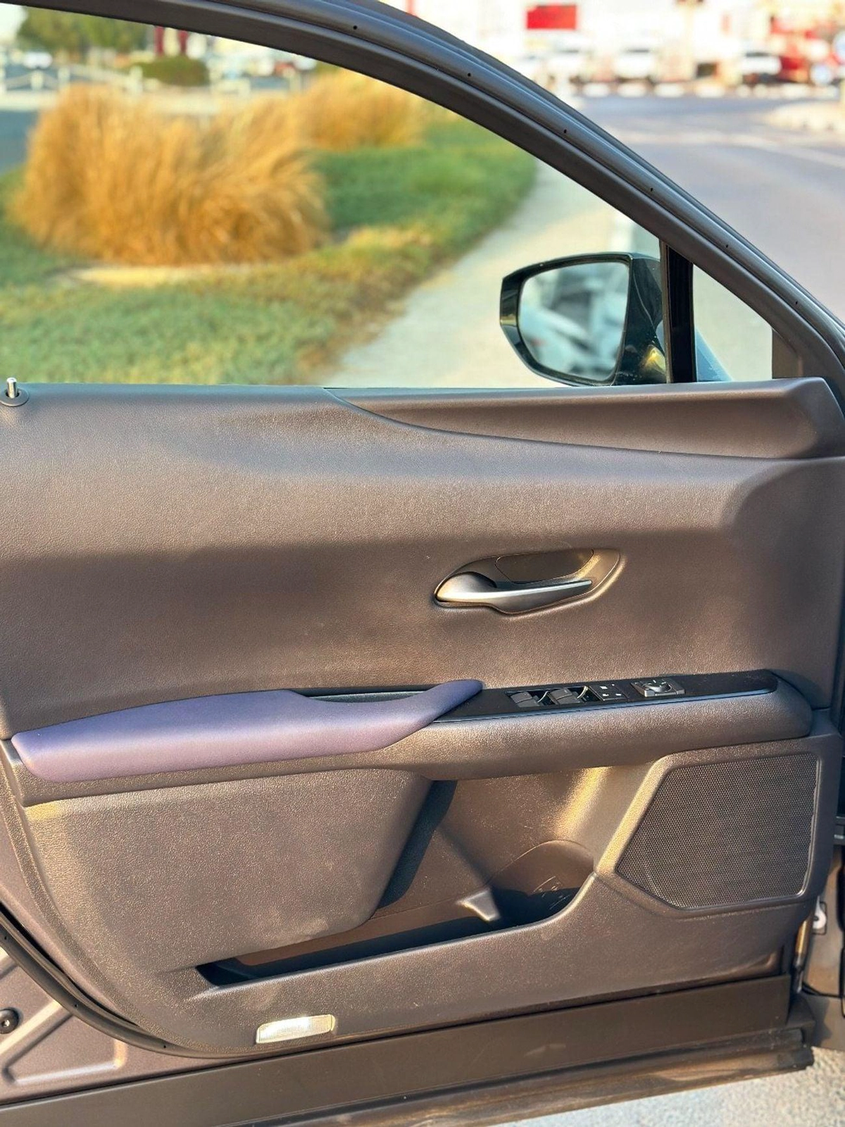 Lexus UX250h Premium F- Sport  Hybrid-14-14