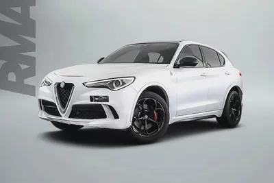 2019 Alfa Romeo Stelvio Quadrifoglio / Full Alfa Romeo Service History-0