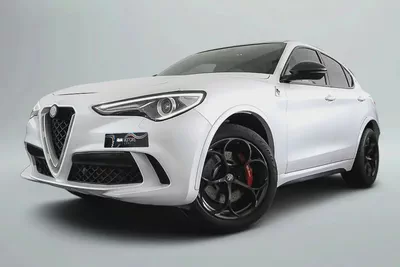 2019 Alfa Romeo Stelvio Quadrifoglio / Full Alfa Romeo Service History-4
