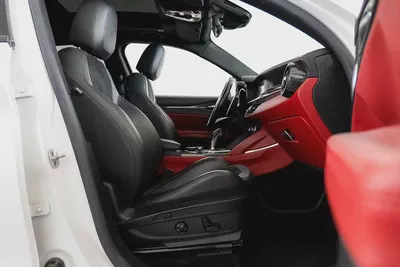 2019 Alfa Romeo Stelvio Quadrifoglio / Full Alfa Romeo Service History-7