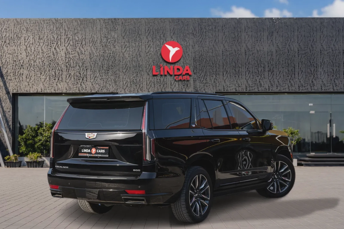 2022 Cadillac Escalade Platinum Orignal-18-18