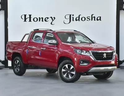 AED 1,081 EMi for 5Yrs | Peugeot Landtrek 4WD ( 2023 Model ) in Red Color GCC Specs-2