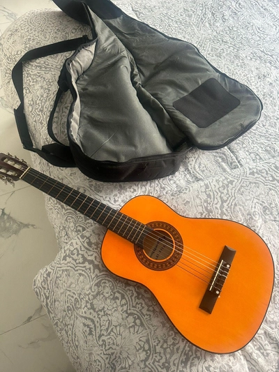 Acoustic Guitar-0