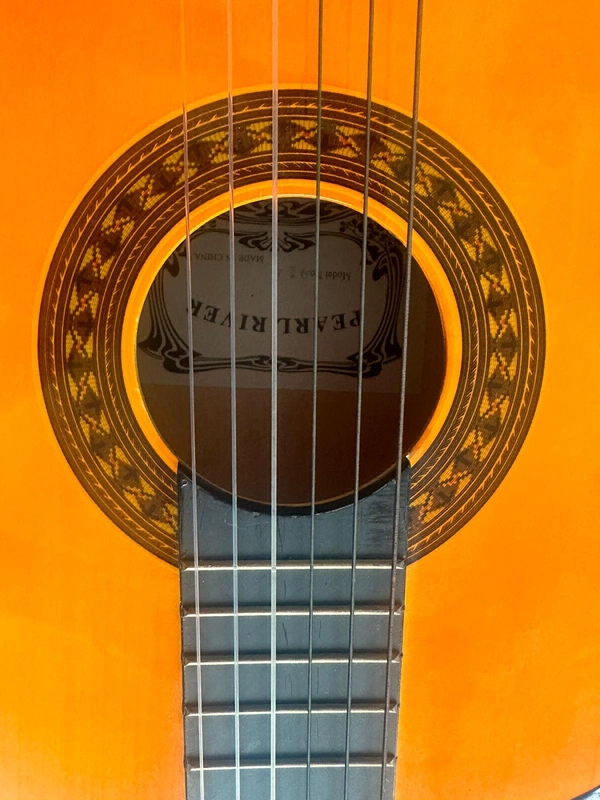 Acoustic Guitar