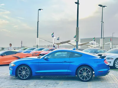 2021 Ford Mustang Ecoboost-6