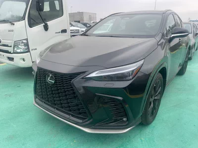 2026 Lexus NX 300 – Black Exterior with Red Interior-18