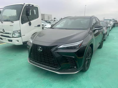 2026 Lexus NX 300 – Black Exterior with Red Interior-0
