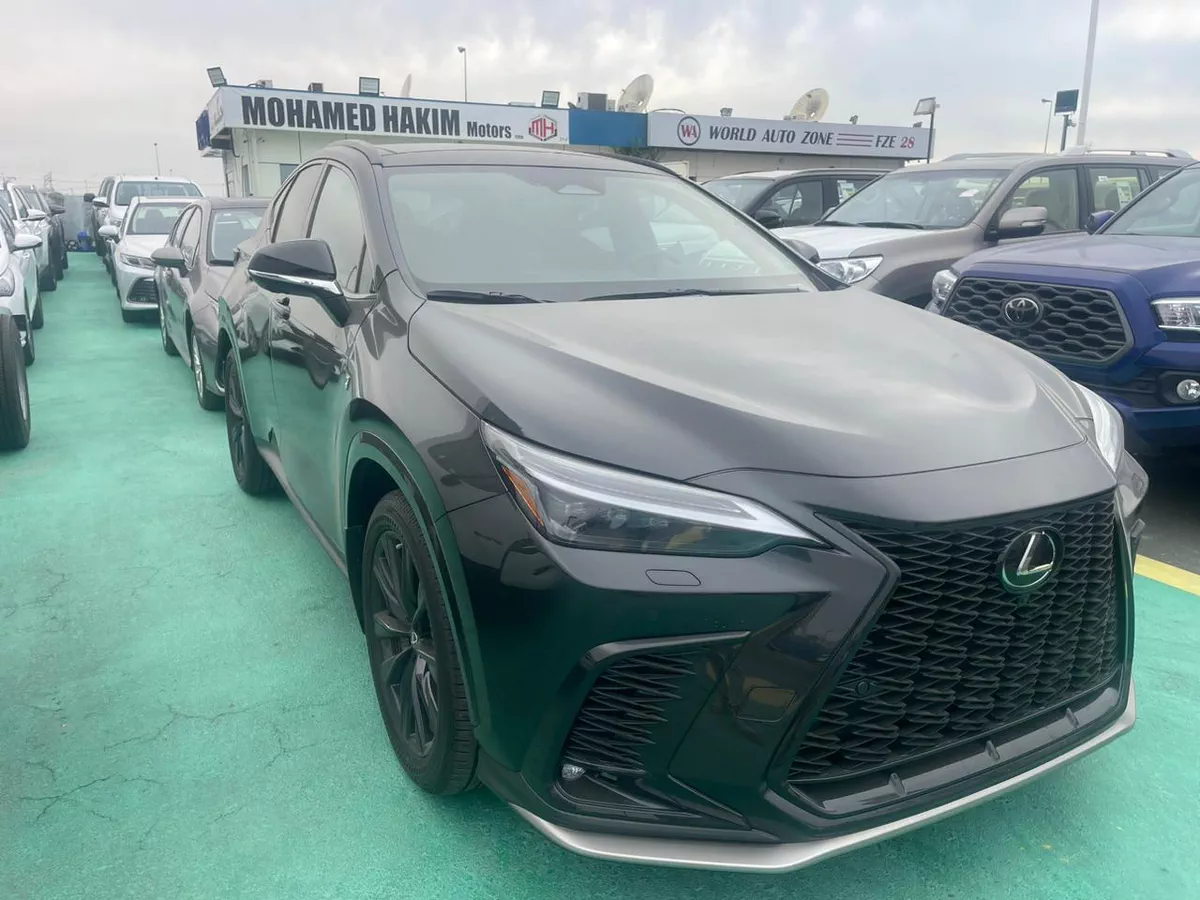 2026 Lexus NX 300 – Black Exterior with Red Interior-16-16