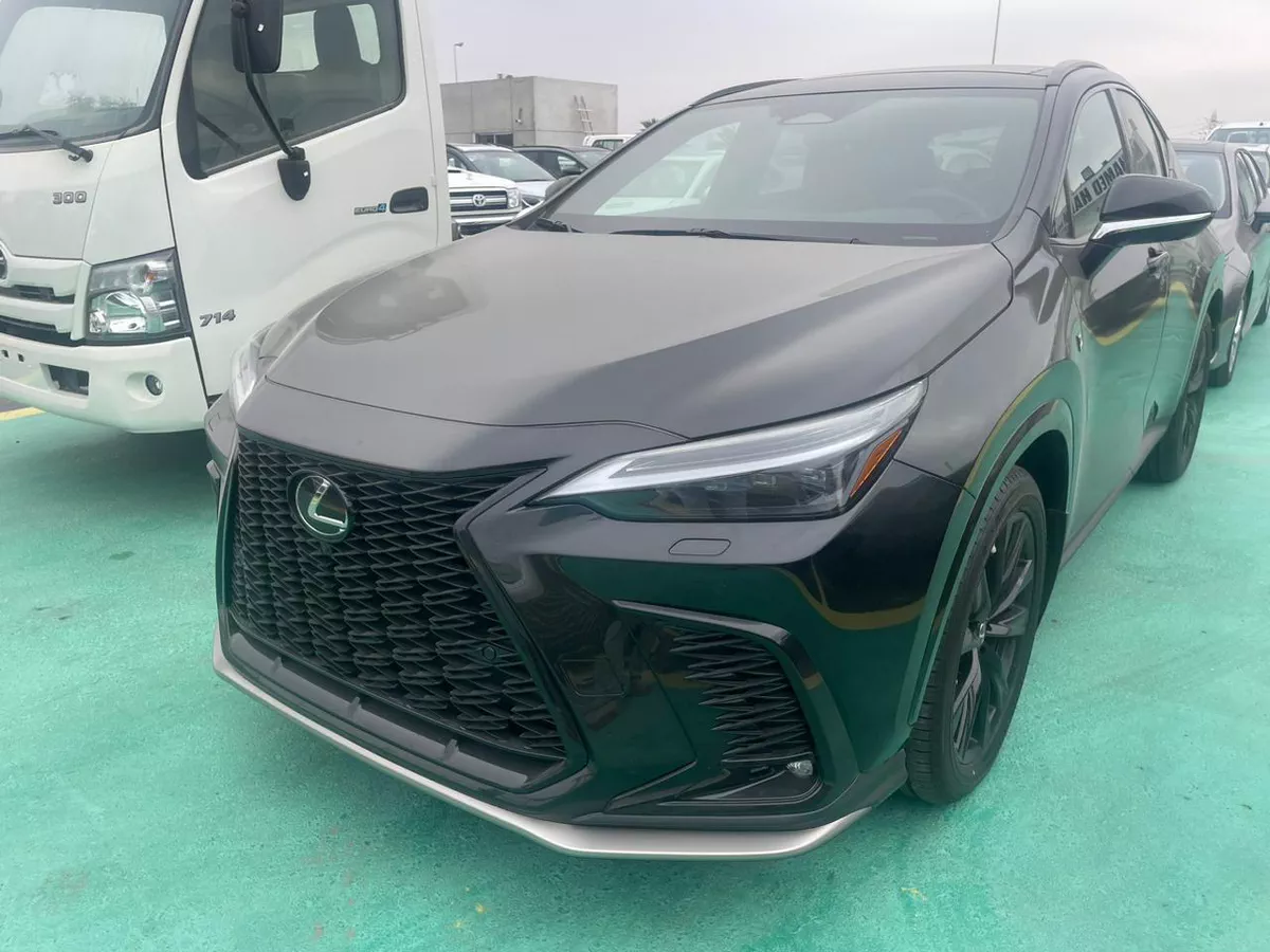 2026 Lexus NX 300 – Black Exterior with Red Interior-18-18