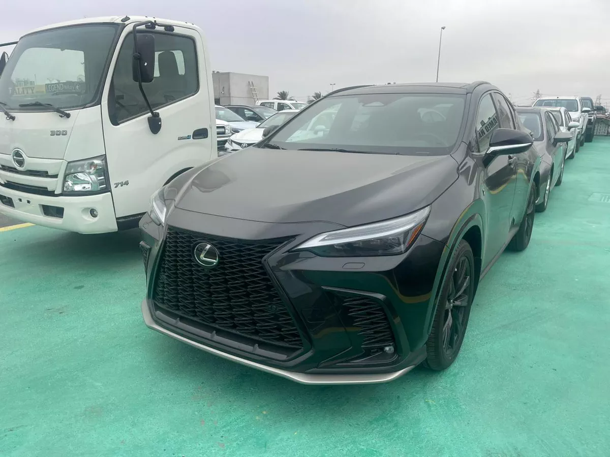 2026 Lexus NX 300 – Black Exterior with Red Interior