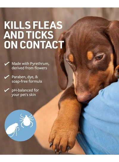 Veterinary Formula Synergy Labs Veterinary Formula Clinical Care Flea & Tick Shampoo 473ml-6