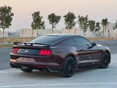 فورد موستنج ايكو بوست مواصفات امريكة بحالة جيدة-5