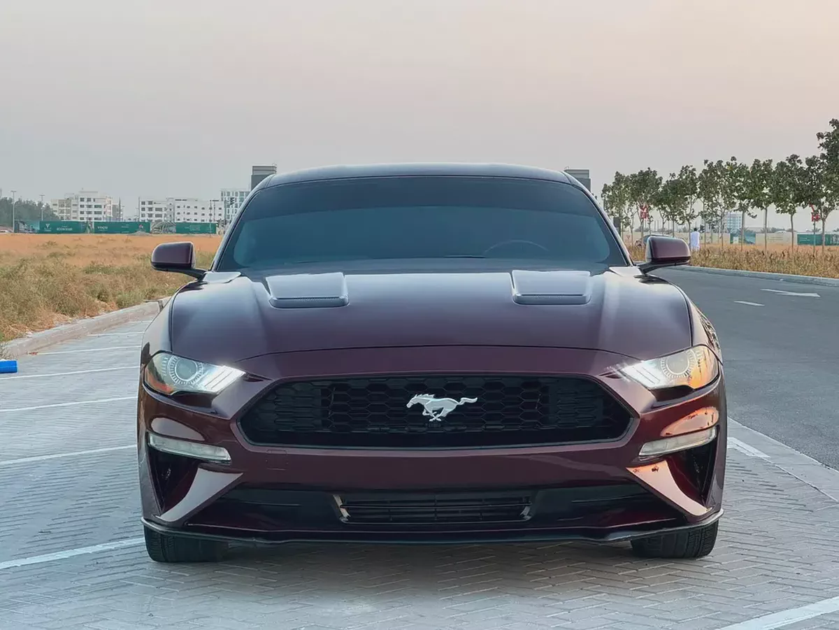 فورد موستنج ايكو بوست مواصفات امريكة بحالة جيدة-1-1