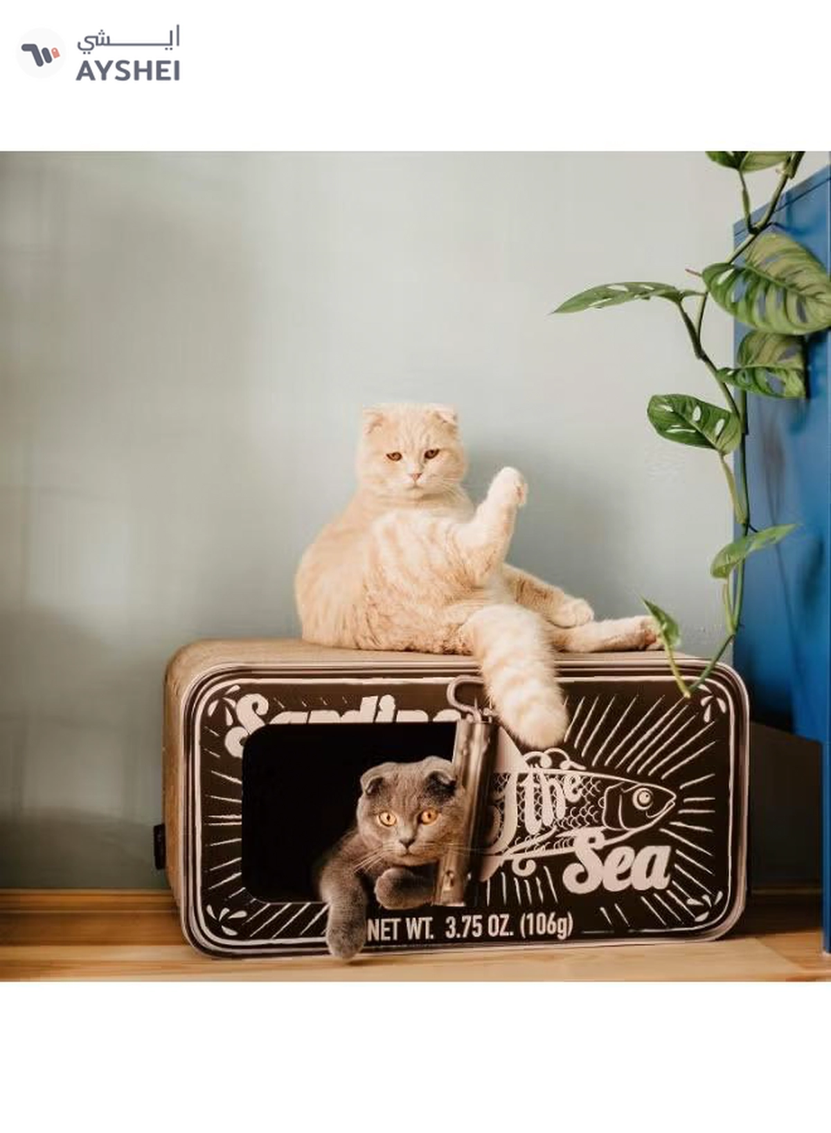 District 70 Sardine Cardboard Cat Scratcher, 60 x 30 x 30 cm, Black-3-3