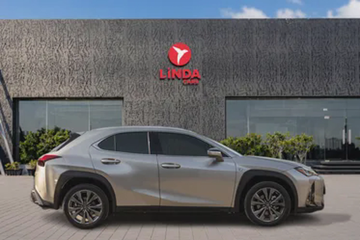 Lexus UX 200 2022-6-6