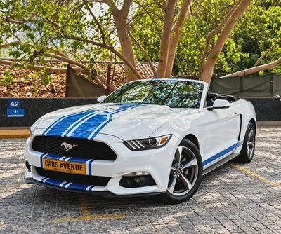 2017 Ford Mustang EcoBoost Premium Convertible-0