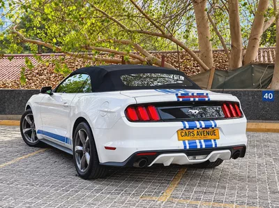 2017 Ford Mustang EcoBoost Premium Convertible-9