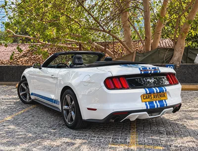 2017 Ford Mustang EcoBoost Premium Convertible-3